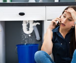 About Plumbers Pros Saint Leo, FL